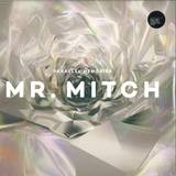 Mr. Mitch - Parallel Memories 2x12"