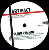 Shawn Rudiman - Artifact