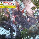 Kingdom - Tears In The Club (lp+mp3)