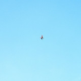 Leopard DaVinci - Vive le vent EP