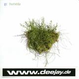 Gc - Humeda