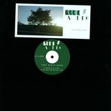 Rude Audio - That Dirty Echo 3x12"