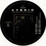 Cybrid - Transistor Abuse