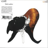 COIL - BLACK ANTLERS LP 2x12"