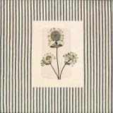 Jeigo - Etum LP 2x12"