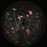 Pola & Bryson - FABRICLIVE presents Pola & Bryson (2x12")