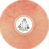 The Secret Initiative - Vol. 6