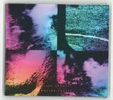 Luke Abbott - Wysing Forest