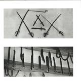 Exoteric Continent: - Referendum