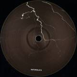 Antonio - Electrical System