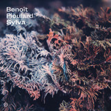 Benoît Pioulard - Sylva
