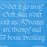 Darcy Baylis - A House Breaking