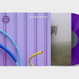 µ-ZIQ - MAGIC PONY RIDE LP 2x12"