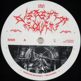 TeslaSonic - Disaster Recovery LP (2x12")