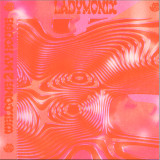 LADYMONIX - Welcome 2 My House