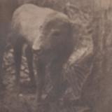 Gustav Kemps - Lonesome For A Storm (Tape)