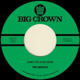 THEE MARLOES - UNDER THE SILVER MOON / THROUGH THE CHANGES