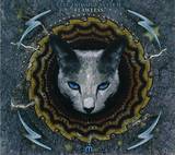 Electrosoul System - Flawless