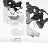 Aria Rostami & Daniel Blomquist - Wandering Eye