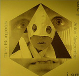 Tim Burgess / Anton Newcombe - The Doors Of Then - I Am Yours, I Am You