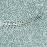 Tama Sumo & Prosumer - Rarified Ep