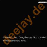 Freshmove Feat. Darryl Pandy - You Can *clepto Rmx*
