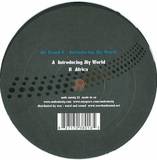 Mr Raoul K - Introducing My World