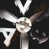 Dj Dvs - Get Loose