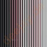 Audiomorph - Schleichangriff