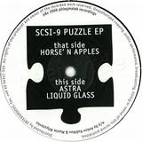Scsi-9 - Puzzle