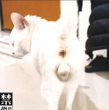 Initials B.B. / LuJiachi / Gonno / Samo DJ - 禁JIN 01