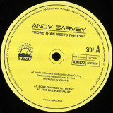 Andy Garvey - More Than Meets The Eye