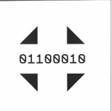 Silicon Scally - Revelations