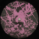 SY - Metamorphosis EP