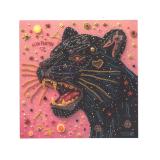 ÁCIDO PANTERA - S/T