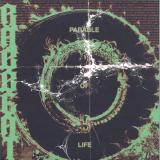 RABBeAT - The Parable Of Life 2x12"