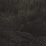 Lesley Mok - transient LP