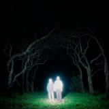 Gnoomes - Losey LP