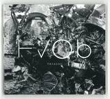 Hvob - Trialog