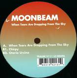 Moonbeam - When Tears Are Dropping From T