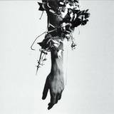 Mouse On The Keys - The Flowers Of Romance