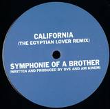 Damiano Von Eckert - California