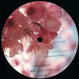 Miki Miyoshi - Distant Memories