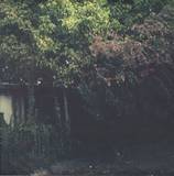 Joris Voorn - I Ran The Zoo