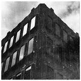 The Remote Viewer - Us. In Happier Times