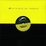 Sebastian Brandt - Technology