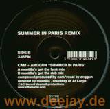 Dj Cam - Summer *montilla*