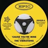 The Vibrations - Cause You're Mine/follow Your