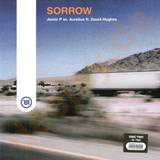Jamie P Vs. Aurelius - Sorrow *2*