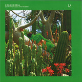 Cornucopia - Before Anyone Else/Bats And Birds